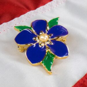 Brooch and Flag square